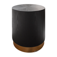 Beistelltisch aus schwarzer Eiche – Edelstahlgestell in Mattgold – 40x40x47 cm