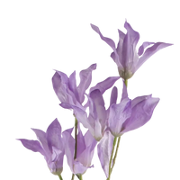 Seidenkunstblume Orchidee aus Kunststoff – fliederfarben – 84 cm