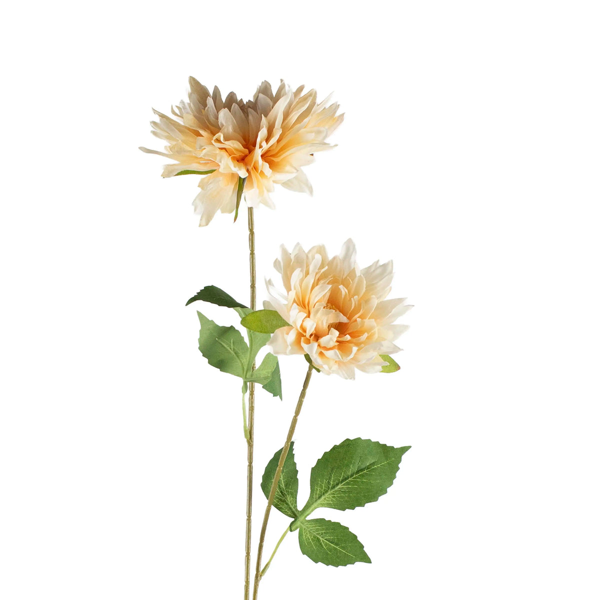 Seidenkunstblume Dahlie aus Kunststoff – softorange-weiß – 80 cm – üppiges Blütendesign